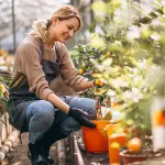 Semi di cannabis autofiorenti: guida completa