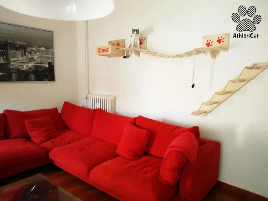 Percorsi per gatti, come inserirli nel proprio soggiorno