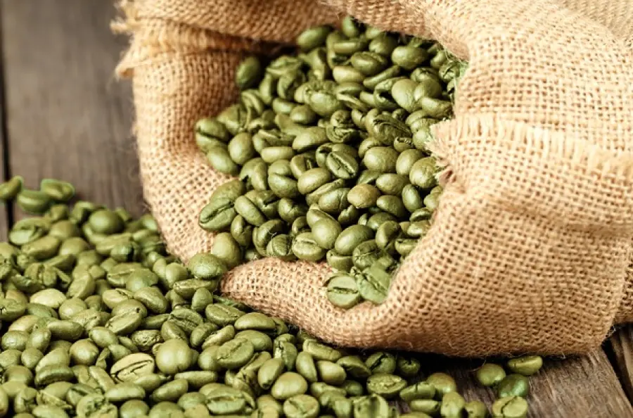 Caffè verde: un elemento efficace per dimagrire