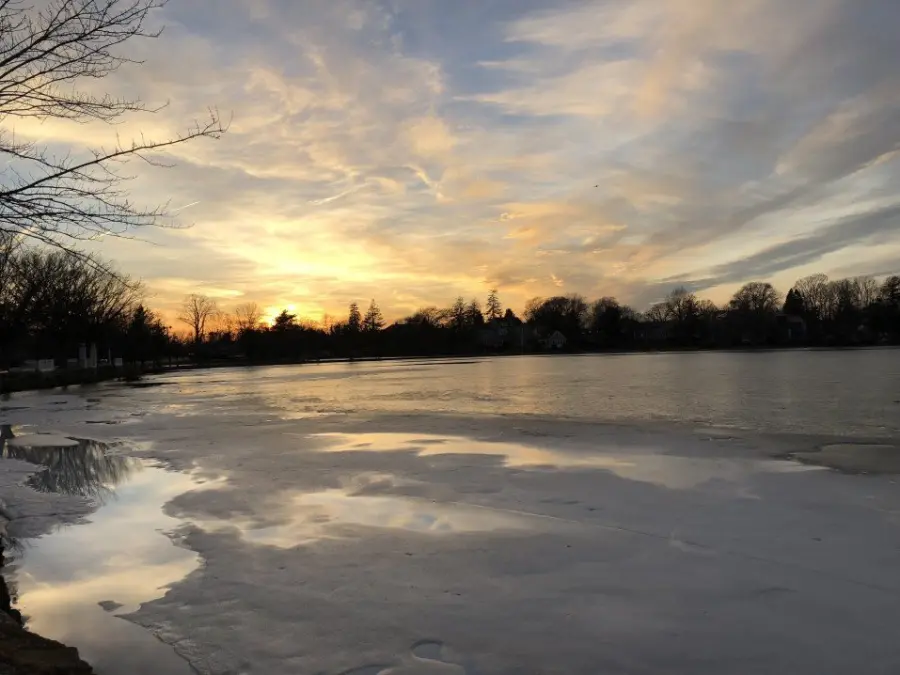Giardini pensili di Babilonia, una guida alla loro scoperta