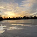 Giardini pensili di Babilonia, una guida alla loro scoperta