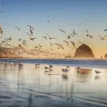 Nankurunaisa, un mantra per la migliore fiducia nel futuro