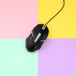 Ministero Ambiente, nuove linee guida contro i cyberattacchi