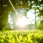 Anche la Cina fa luce sull’inquinamento ambientale