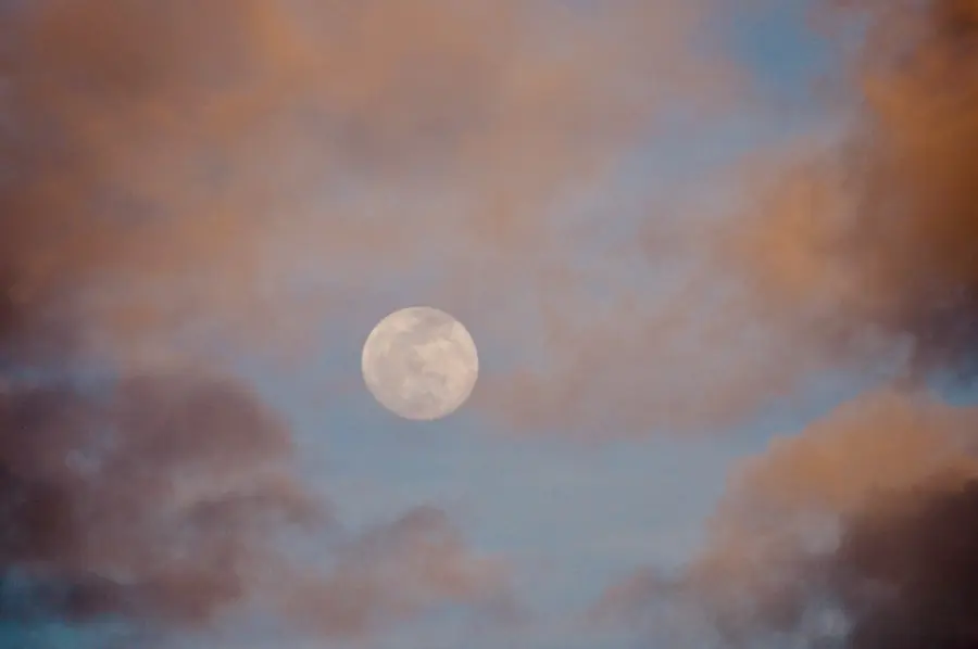 Senza la Luna non ci sarebbe vita sulla Terra