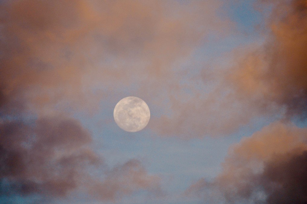 Senza la Luna non ci sarebbe vita sulla Terra