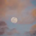 Senza la Luna non ci sarebbe vita sulla Terra