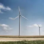 Le pale eoliche sono pericolose per gli uccelli?