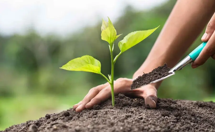 Aziende e competitività: gli scarti delle concerie diventano fertilizzanti