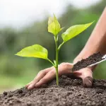 Aziende e competitività: gli scarti delle concerie diventano fertilizzanti