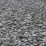 Giardino in ghiaia: guida tecnica completa