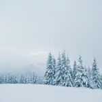 Valanga: che cos’è e come contrastare il fenomeno