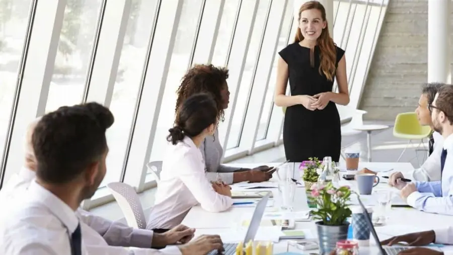 CEO, CDO e CFO : ruoli e responsabilità