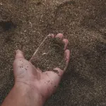 Dalla gestione tradizionale ai metodi innovativi per il recupero dei suoli