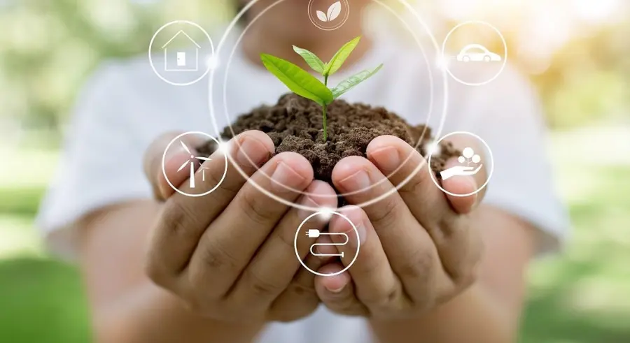 Regali per aiutare l’ambiente. Scopriamo cosa possono fare