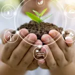 Regali per aiutare l’ambiente. Scopriamo cosa possono fare